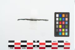 Foto von Bronzerad (NHMW-PRAE-026153)
